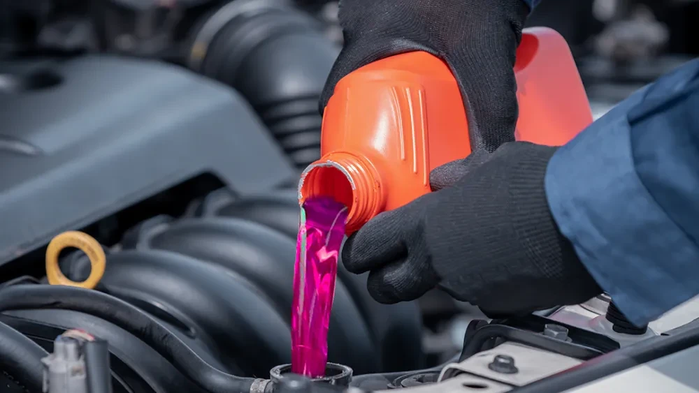 Van de Bunte Harderwijk Autobedrijf