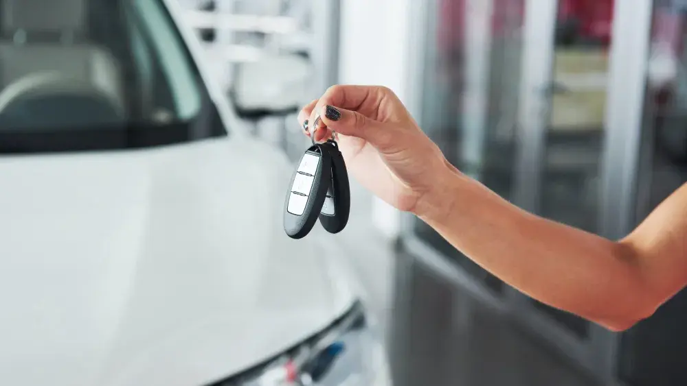 Van de Bunte auto kopen harderwijk 